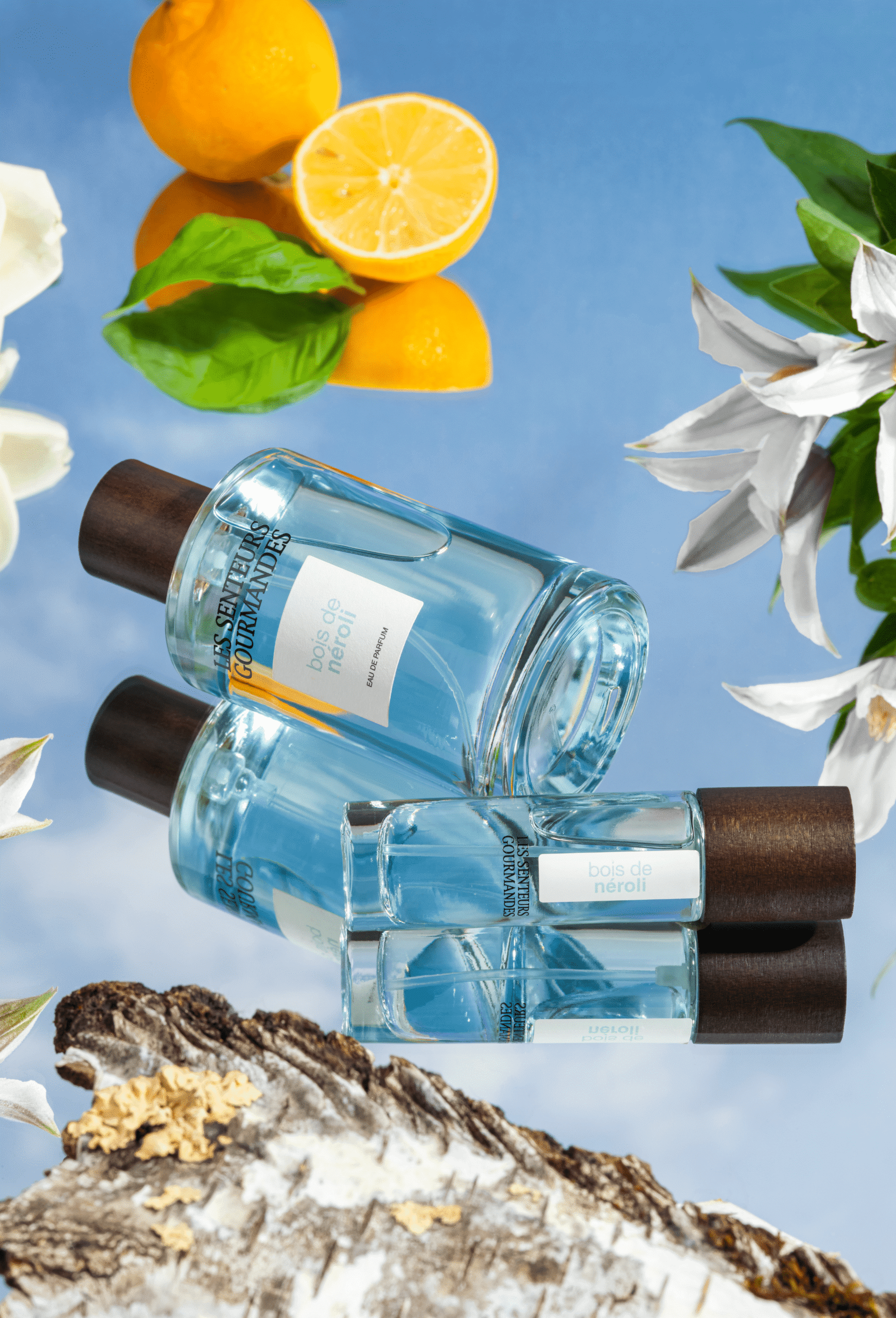 Creation of a perfume