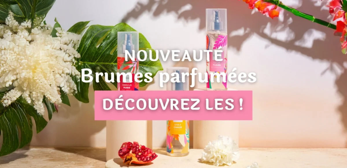 Bannière LSG - Nouvelles Brumes