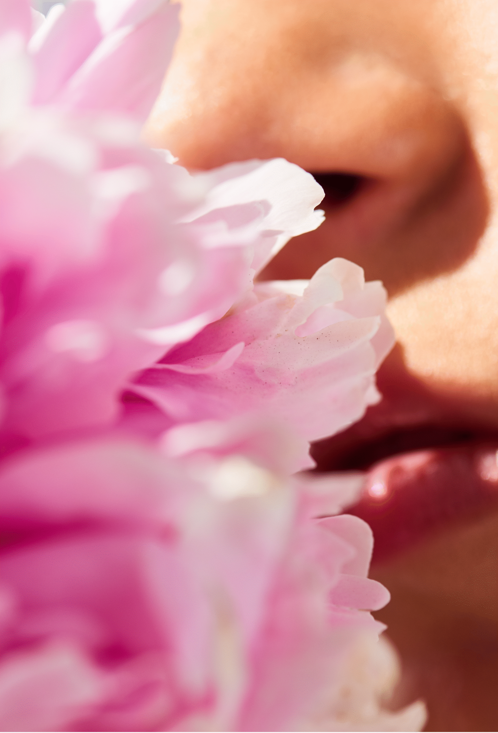 Quelles sont les 3 notes d'un parfum
